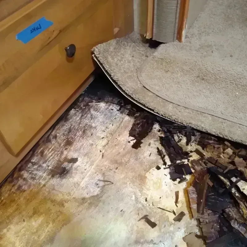 Wood Floor Water Damage in Maui County, HI